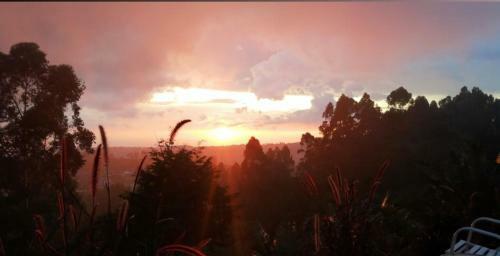 Hotel Natura Cocora