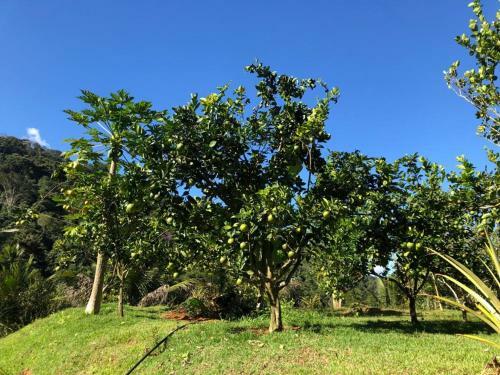 Vista Da Mata Dm, Conforto E Lazer Junto A Natureza