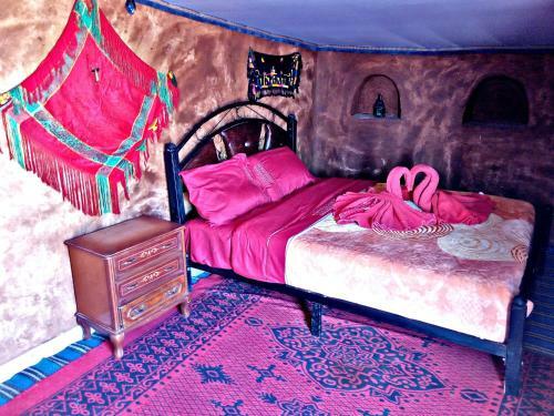 Safari Camp Tours