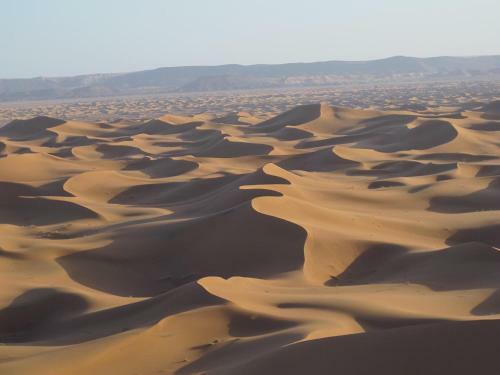 Bed & Breakfast Camp Desert Nomad Tour