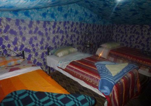 Bed & Breakfast Camp Desert Nomad Tour