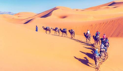 Bed & Breakfast Camp Desert Nomad Tour