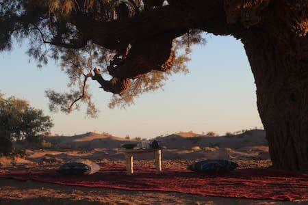 Bed & Breakfast Camp Desert Nomad Tour