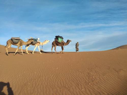 Posada Camp Yaya Desert Tours