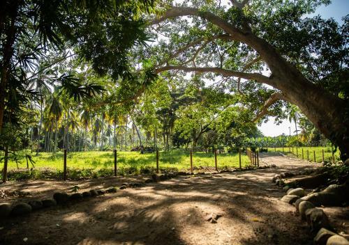 Hotel La Finca Buritaca By Dot Boutique