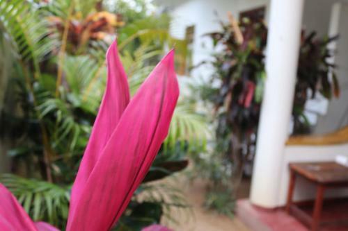 Sandy Bay Hotel Arugambay