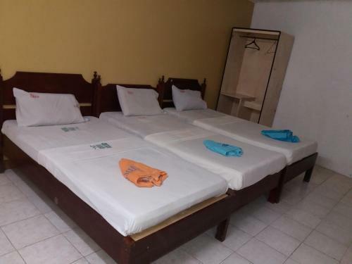 Albergue Bee Hub Pension