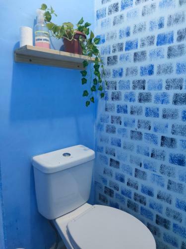 Dreamer Hostel