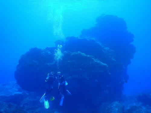 Green Island 9 Padi