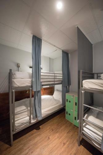 Deer Traveler Hostel