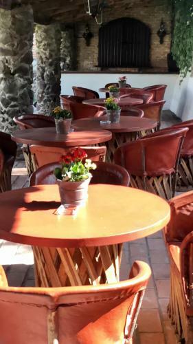Bed & Breakfast Cortijo 7