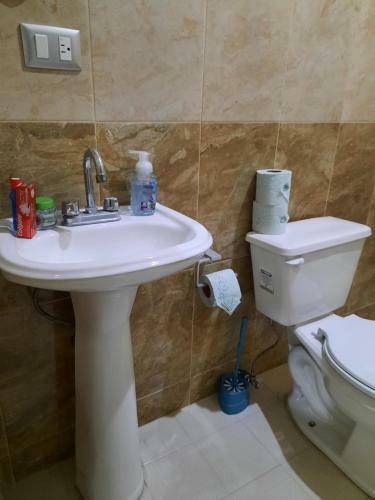 Apartamento Departamento Completo, C�modo, Tranquilo Y Acogedor