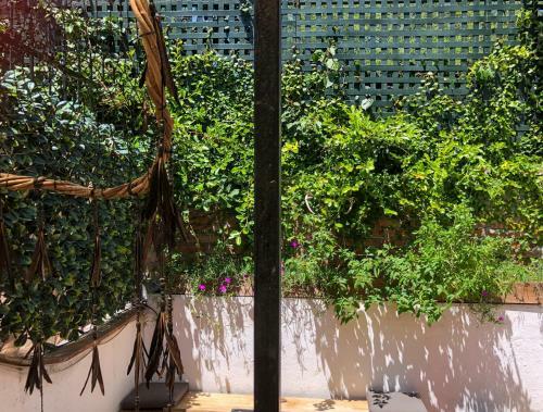 Hostal Casa Chuparrosa House