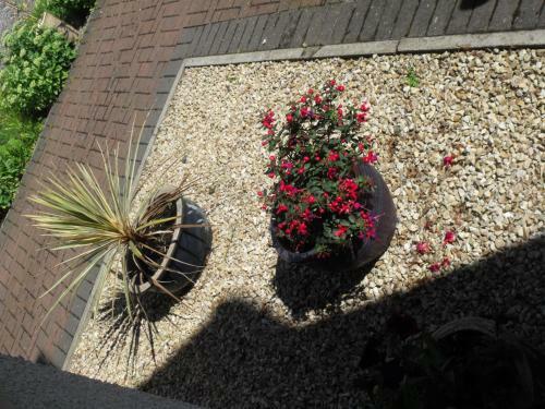 Bed & Breakfast Arisaig Guest House