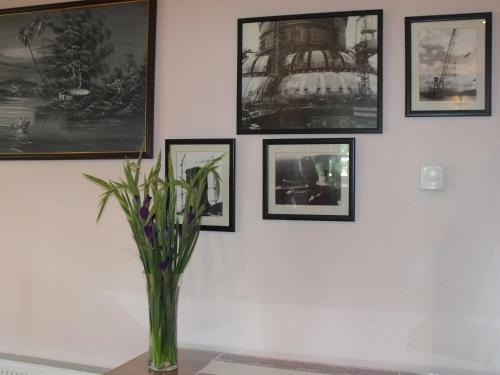 Bed & Breakfast Arisaig Guest House