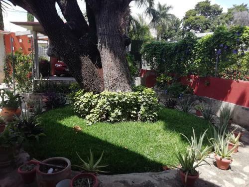 Hostal Las S�bilas M�ster Suite