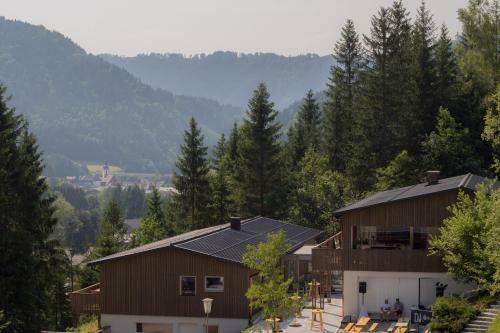 Apartamento Bienenkunde Lunz