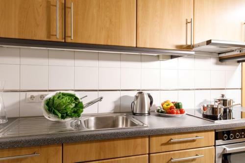 Apartamento 72 Maria-theresien-stra�e