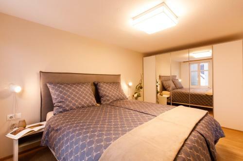 Apartamento 72 Maria-theresien-stra�e