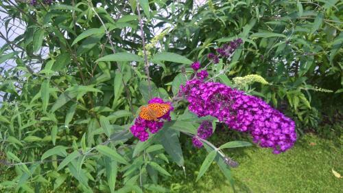 Apartamento Appartement Erlbacher