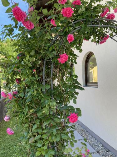 Apartamento Appartement Erlbacher