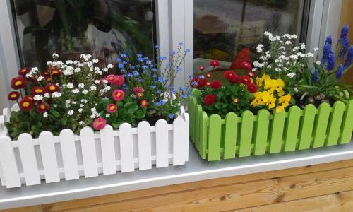 Apartmenthaus Amelie