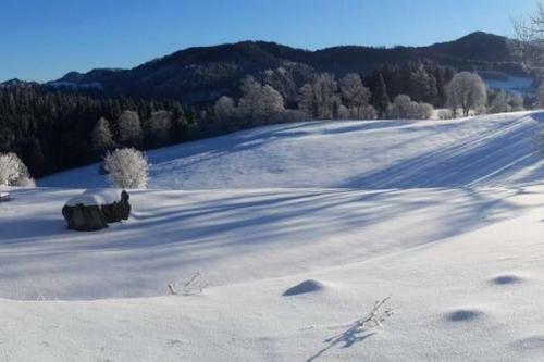 Chalet Hinterbreiteneben