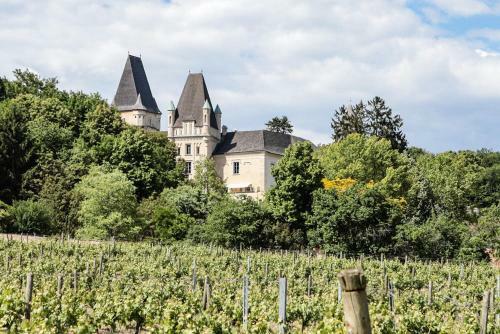 Hostal Pension Zur Weintraube