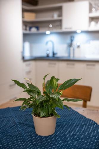 Aparthotel Tschardakenhof Appartements