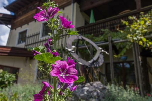 Apartamento Ferienwohnungen Knippschild