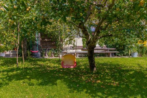 Apartamento Ferienwohnungen Knippschild