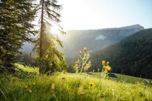 Apartamento Herbst Wohnerlebnis