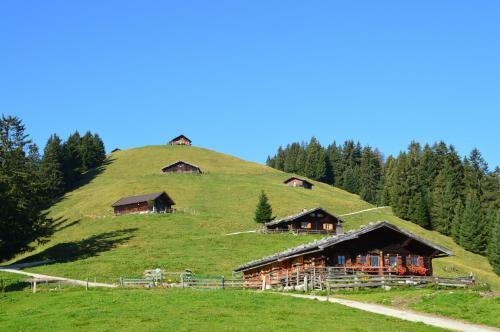 Apartamento Hilltop Appartement