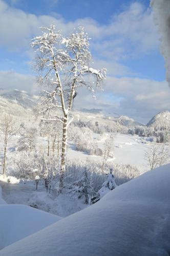 Apartamento Hilltop Appartement