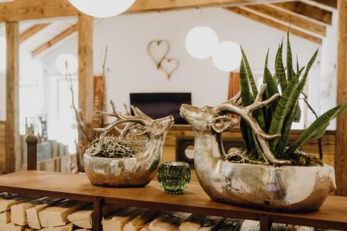 Apartamento Exklusives Loft "auszeit F�r2"