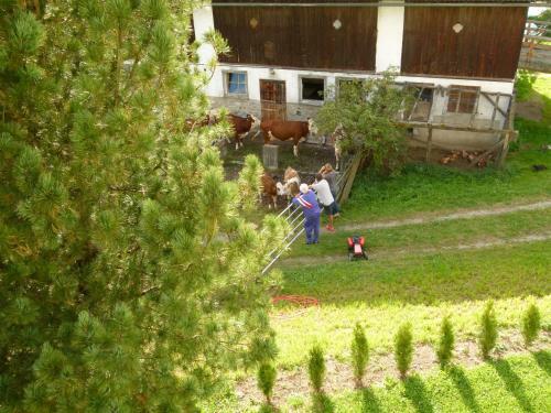 Apartamento Ferienwohnung Bachergut