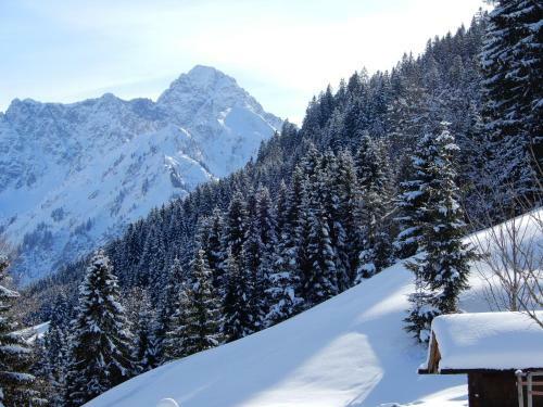 Aparthotel Mittelberg 333 Kleinwalsertal