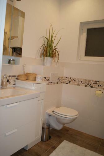 Apartamentos Familienferienhaus Amelie