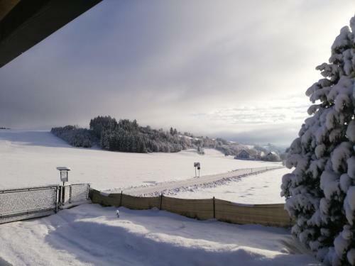 Apartamento Haus Petra
