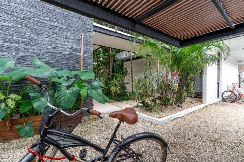 Apartamento Loft Laurel Plunge Pool , Wifi, A/c, Parking