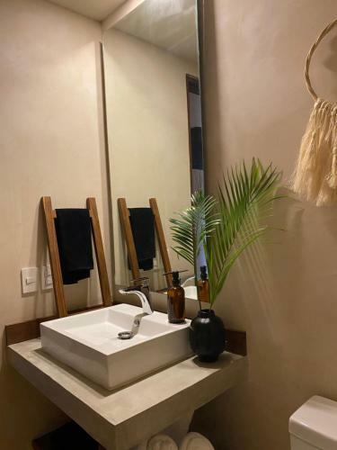 Apartamento *casa Tropical* Penthouse With Rooftop & Private Pool