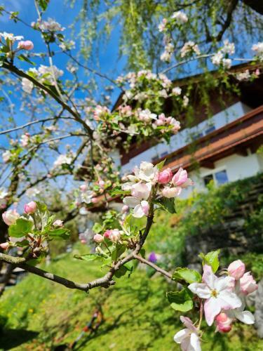 Apartamento Appartement Mountains And More