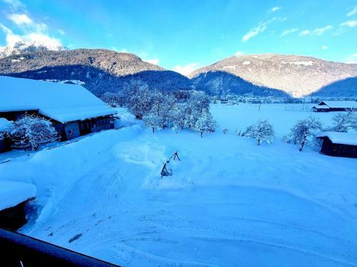 Apartamento Guesthouse Schoba Typ B