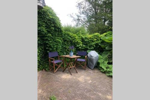 Cosy Ivy-covered Cottage Near Amsterdam