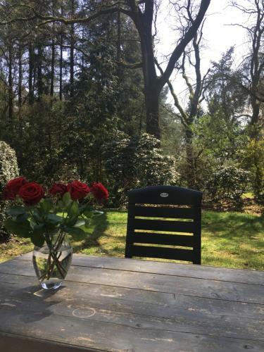 Apartamento Geschakelde Bungalow Op De Veluwe "de Eekhoorn"