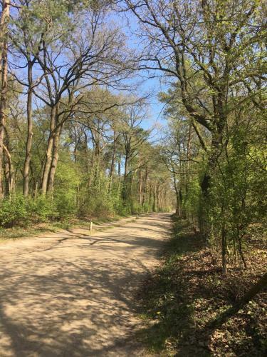 Apartamento Geschakelde Bungalow Op De Veluwe "de Eekhoorn"