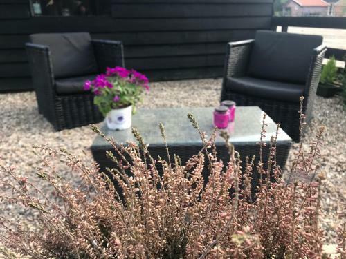 Veluwse Bos En Heide Studio