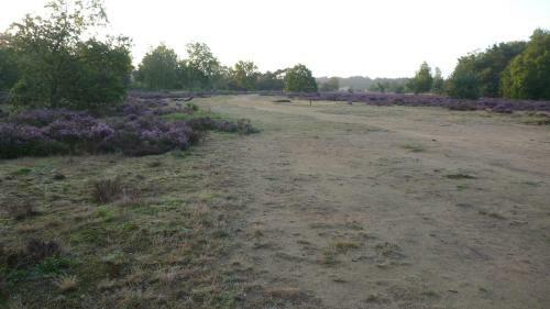 Holiday Home Bos En Heide