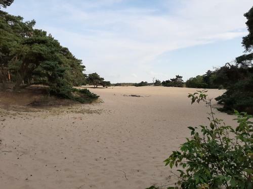 Apartamento 't Gr�ne Huysje