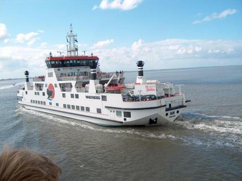 Wadsuper Vakantiewoning Paesens Moddergat Aan de Waddenzee